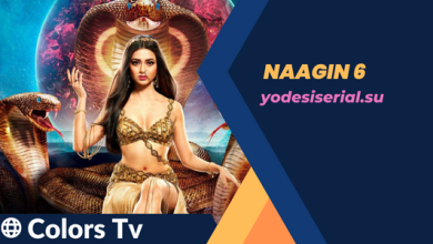 Naagin 6 is reality show